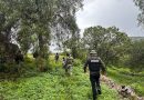 Intensifica Gobierno de Zacatecas acciones de búsqueda de personas en Valparaíso