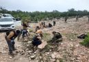 Realiza Gobierno de Zacatecas prospección forense en zona serrana de Tabasco; se obtienen resultados positivos