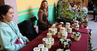 Reunirá Bazar Creativo a más de 60 emprendimientos en una jornada dedicada al arte y la economía creativa