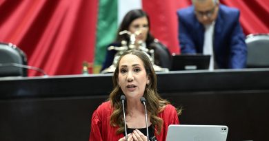 SE PUBLICA EN GACETA PARLAMENTARIA EXHORTO DE NOEMÍ LUNA PARA INVESTIGAR NEGLIGENCIA POR MEDICAMENTOS CADUCADOS