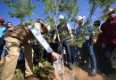Se suma Gobernador David Monreal a la Jornada Nacional de Reforestación 2026; siembran más de 18 mil árboles en Zacatecas