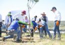 Aguascalientes se suma a Jornada Nacional de Reforestación desde Asientos