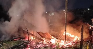 Incendio moviliza a cuerpos de emergencia en la colonia Tierra y Libertad