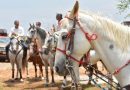 Cabalgata abrirá la fiesta de la Feria Internacional del Caballo 2026