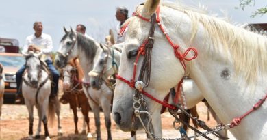 Cabalgata abrirá la fiesta de la Feria Internacional del Caballo 2026