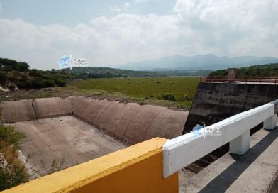 Presa Moraleños alcanza 67% de almacenamiento, pero el lirio acuático invade gran parte del embalse
