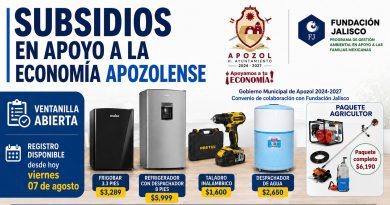 ABREN EN APOZOL VENTANILLA PARA ACCEDER A ARTÍCULOS CON SUBSIDIO