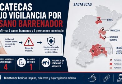 GUSANO BARRENADOR MANTIENE BAJO VIGILANCIA A ZACATECAS; JALPA Y EL SUR REGISTRAN PRESENCIA EN ANIMALES