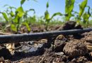 Más Agua En La Presa Calles Da Certeza A Productores Para Los Próximos Ciclos Agrícolas