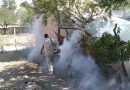 Realizarán jornadas de nebulización contra el dengue en colonias de Calvillo