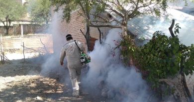 Realizarán jornadas de nebulización contra el dengue en colonias de Calvillo