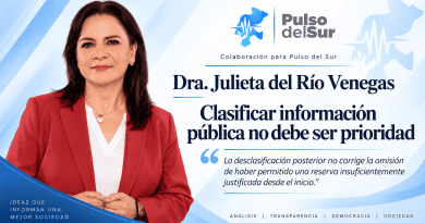 Clasificar información pública no debe ser prioridad: Julieta del Río