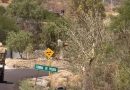 CONSTERNACIÓN EN CORRAL DE PIEDRA; ENCUENTRAN SIN VIDA A HOMBRE DE 66 AÑOS EN SU DOMICILIO