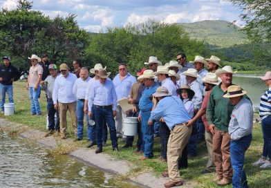 Pescadores De Apozol Participan En Programa Estatal De Entrega De Crías De Tilapia