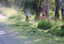 Realizan labores de limpieza y mejoramiento urbano en Rancho de Arriba