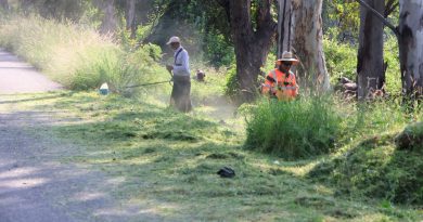 Realizan labores de limpieza y mejoramiento urbano en Rancho de Arriba