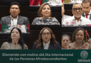 Cámara de Diputados conmemora el Día Internacional de las Personas Afrodescendientes