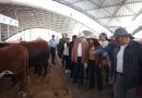 Busca Gobernador David Monreal criar y producir en Zacatecas el mejor ganado del mundo