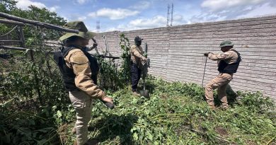 Prospecta Gobierno de Zacatecas más de 14 hectáreas en Tepetongo