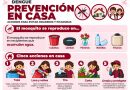 Ante la aparición de casos de dengue en Zacatecas, autoridades de Salud llaman a eliminar criaderos de mosquitos