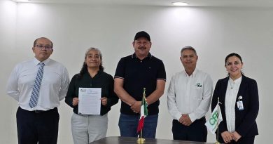 Tabasco gestiona ante CFE una revisión integral de la red eléctrica por apagones y variaciones de voltaje