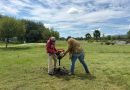 Inician trabajos de rehabilitación del Parque Municipal de Tabasco para mejorar espacios de convivencia familiar