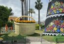 De las pitayas al cempasúchil: la Mega Canasta de Jalpa cambia de imagen por el Día de Muertos