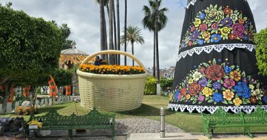De las pitayas al cempasúchil: la Mega Canasta de Jalpa cambia de imagen por el Día de Muertos
