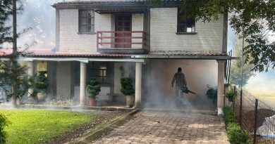 Juchipila concentra seis de los siete nuevos casos de dengue detectados en Zacatecas
