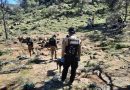 Realiza Gobierno de Zacatecas búsqueda forense generalizada en zona serrana de Fresnillo