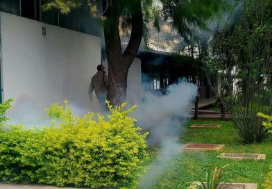 Juchipila concentra la mayoría de los casos de dengue en Zacatecas; Salud reporta 17 contagios en el estado